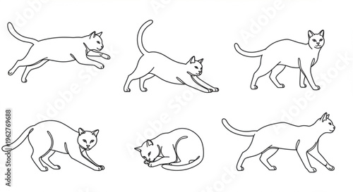 set of dogs silhouettes