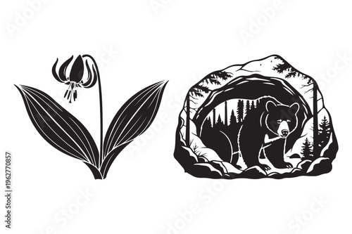 Wild bear in cave and forest flower wilderness vector silhouette