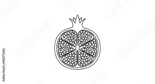 Pomegranate Fruit Cut Open Drawing.