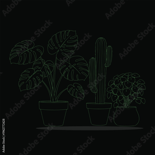 Monstera cactus and pilea vector illustration botanical houseplant group on dark background.