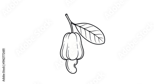 Drawing of a single chili pepper.