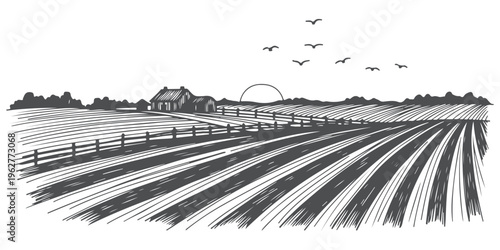 Farm fields vector illustration, rural landscape with barn house, fence, and flying birds.