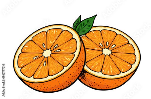 Hand-drawn illustration of two sliced orange halves with green leaves