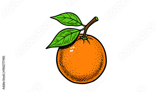 Hand-drawn orange fruit illustration with green leaves isolated on white