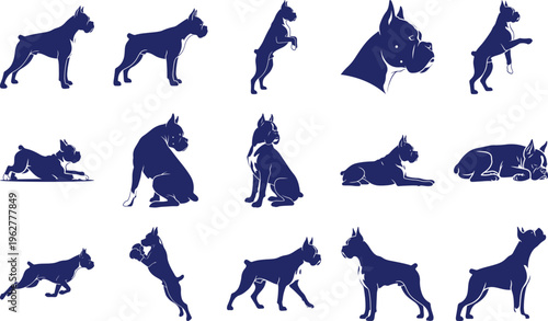 Boxer dog silhouettes in various poses isolated transparent background