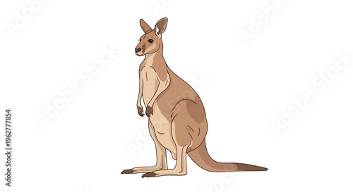 Powerful Muscle Boxing Kangaroo Mascot Vector Illustration with Fists Raised