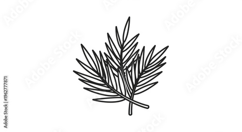 Detailed illustration of a single rosemary herb sprig with needle like leaves on white background for culinary or botanical use