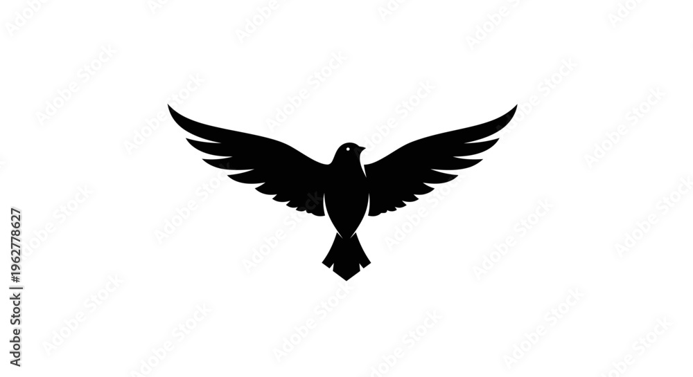 Fototapeta premium Black bird flying with wings spread.