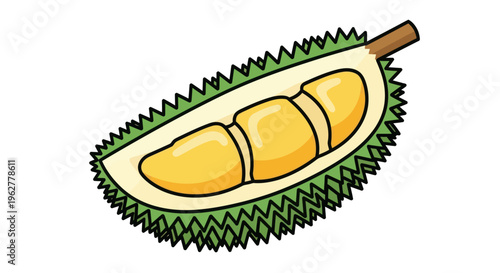 Durian Fruit Cut Open Showing Segments.