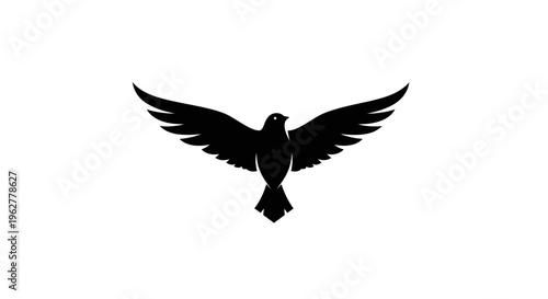 Black bird flying with wings spread.