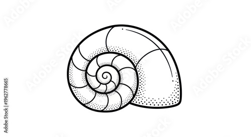 Detailed illustration of a snail shell.