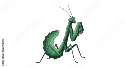 Green Praying Mantis Insect Closeup.