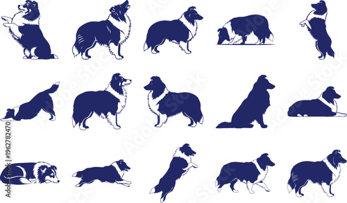 Shetland Sheepdog Silhouettes in Various Poses blue and white