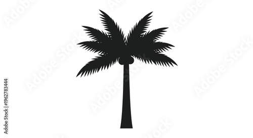 Silhouette of a single palm tree.