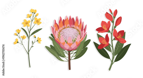 Three types of colorful flower blossoms.