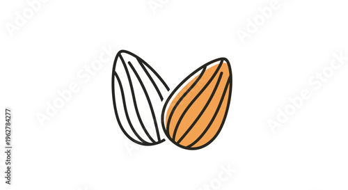 Simple vector illustration of two almonds one with a line art style and the other colored in warm brown tones on white background.
