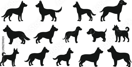 Various silhouettes of dogs in different stances and breeds.