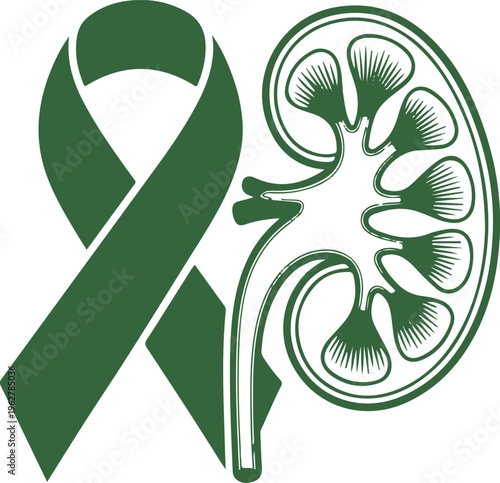 Kidney Awareness Ribbon Illustration vector