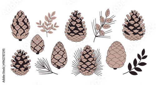 Pine cones and leaves illustration set.