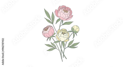 Pink and green peony flower bouquet.