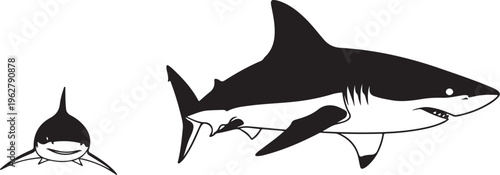 Shark and surfer in ocean water vector illustration graphic