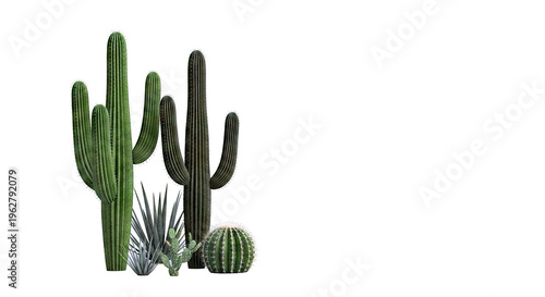 Desert Cactus Collection with Saguaro, Barrel, and Agave Plants