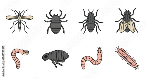 Insects and Larvae Various Species.