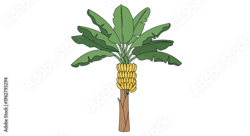 Pineapple Fruit Tropical Sweetness Summer.