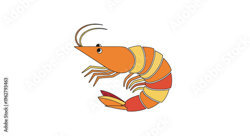 Colorful shrimp crustacean sea creature.