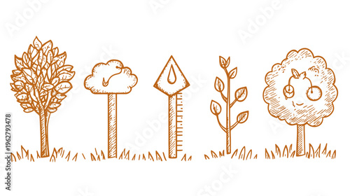 Hand-drawn illustrations of different trees, a rainfall indicator, and grass. All done in a warm orange color