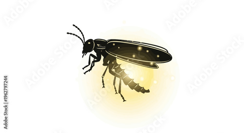 Firefly insect with light abdomen.