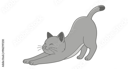 Cat stretching on floor downwards dog.