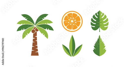 Tropical leaves and orange slice icons.
