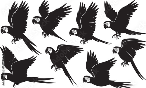Flying parrot macaw silhouettes showing various wing positions for tropical jungle bird nature design