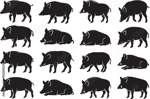 Wild boars and hogs animals silhouette set on transparent background wild pigs set illustration
