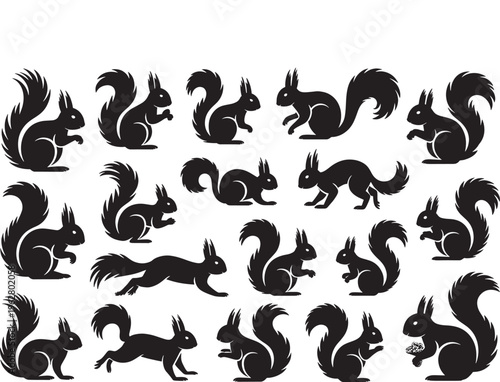 Silhouettes of squirrels in various poses on transparent background, small rodents