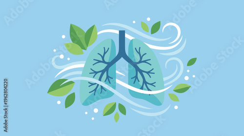 Lungs Anatomy Illustration Showing Airway Branches.
