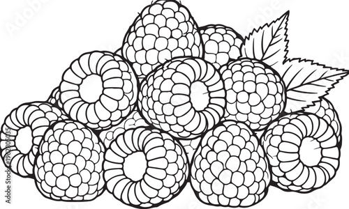 Monochrome line art illustration featuring a delightful pile of fresh, ripe raspberries, capturing their natural texture and sweet, wholesome essence
