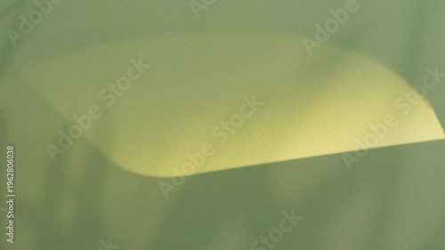 Shadow leaf background wall light blue overlay abstract plant 4k backdrop mockup minimal summer wallpaper, blur nature spring autumn video vintage branching floral, card holidays.