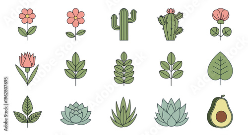 Collection of various green plants.