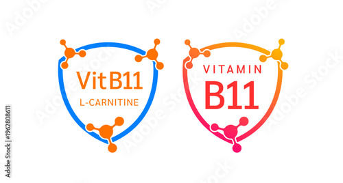 Vitamin B11 shield icon collection for product label design. L Carnitine molecule form simple line. Isolated on a white background. Medical symbol concept. Vector EPS10 illustration.