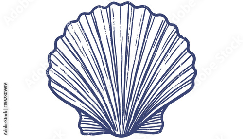 Detailed illustration of a single navy blue scallop shell with radiating lines and a textured effect presented centrally seashell ocean marine life nautical beach coast underwater