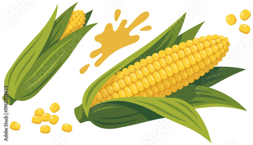 Two ears of vibrant yellow corn with green husks surrounded by scattered kernels and a splash of golden juice 177 characters maize food grain cob agriculture harvest organic