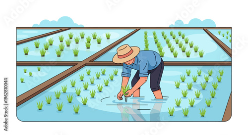 Farmer planting rice seedlings in flooded paddy field.
