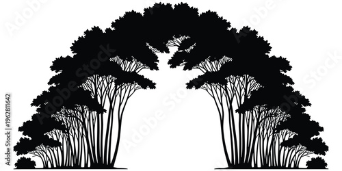 Symmetrical tall trees forming archway silhouette, natural forest tunnel, geometric balance, artistic landscape, nature design, woodland illustration artwork