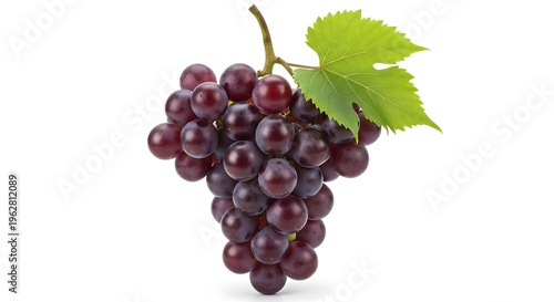 bunch of grapes