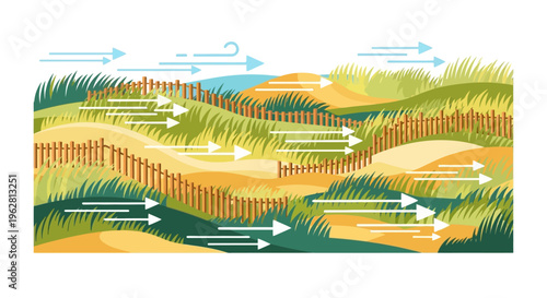 Illustration of wind erosion control with sand fences and vegetation.