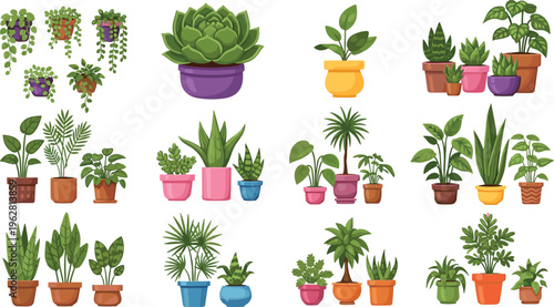 Succulent and houseplant collection with potted greenery, tropical indoor plants and decorative foliage set, botanical vector illustration isolated on white background