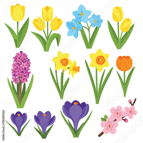 Colorful vector illustration of various spring flowers on a white backdrop