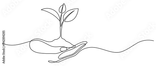 little tree hand holding one line drawing continuous minimal